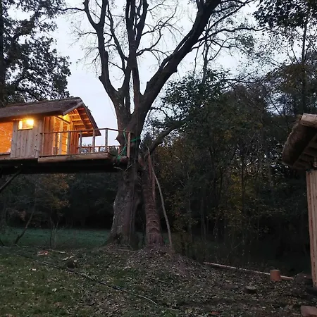 Stairway To The Meadow